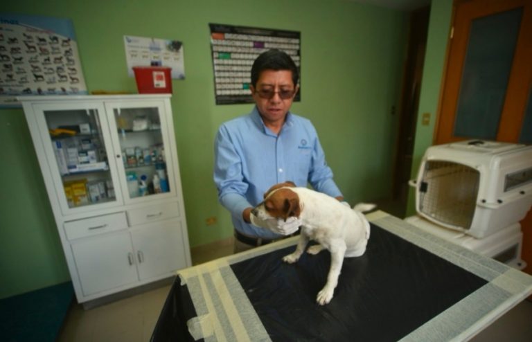 PicsArt_05-10-02.18.46