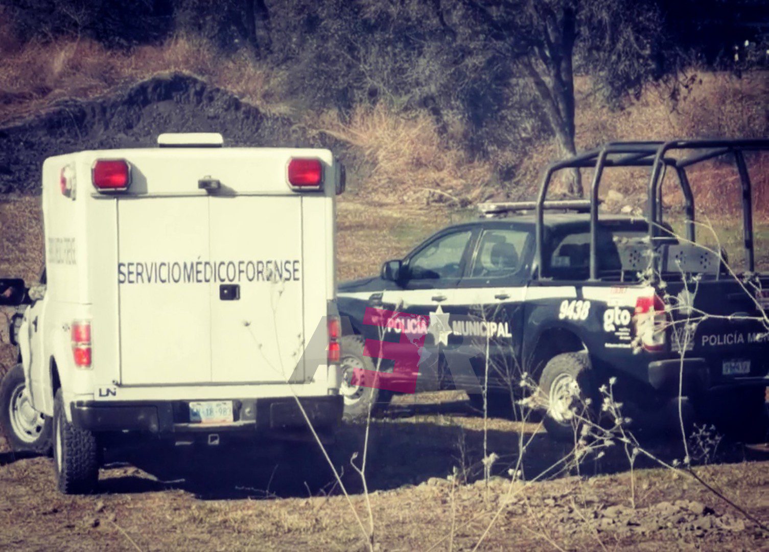 PicsArt_06-11-03.09.37