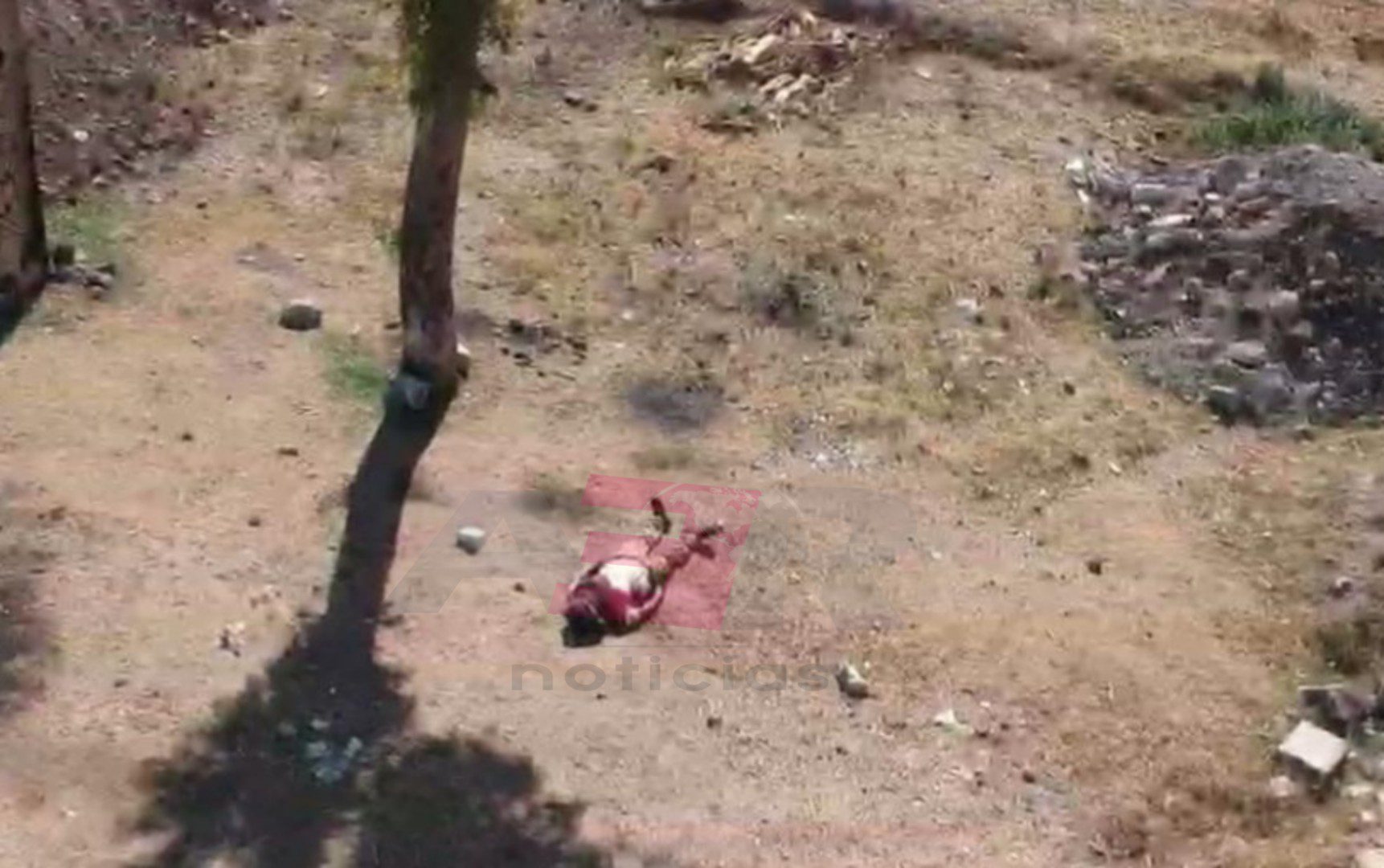 PicsArt_06-14-05.34.10