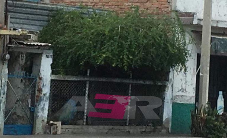 PicsArt_06-28-06.14.36