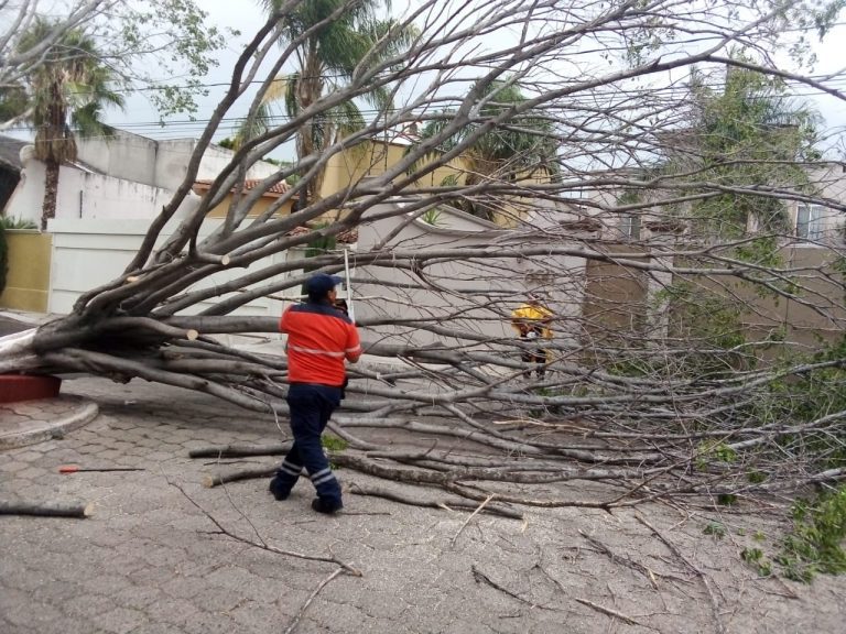 Apoyo en lluvias (4)
