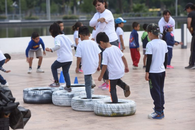 Cursos de Verano (2)