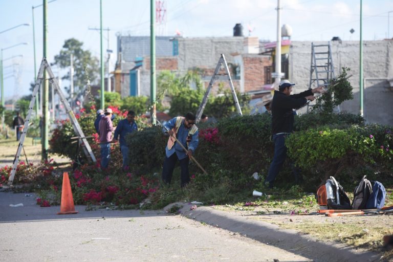 Trabajos de mantenimiento (1)