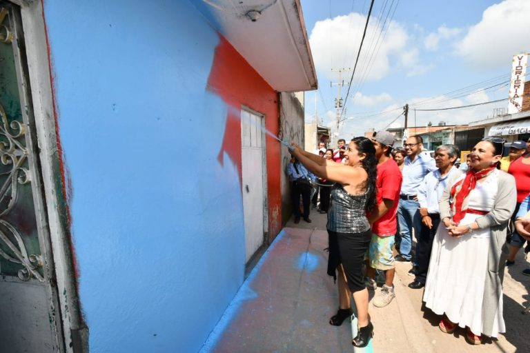 Mi Colonia a Color (3)