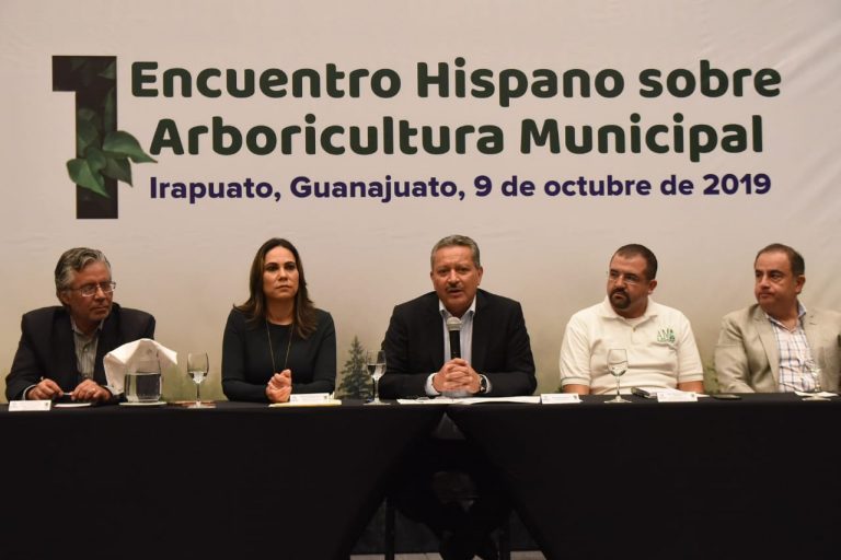 Arboricultura Municipal (3)