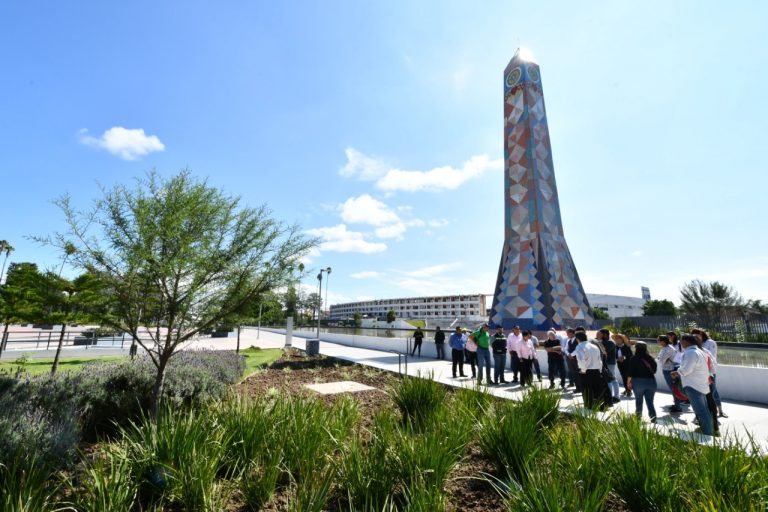 Foro arboricultura (5)