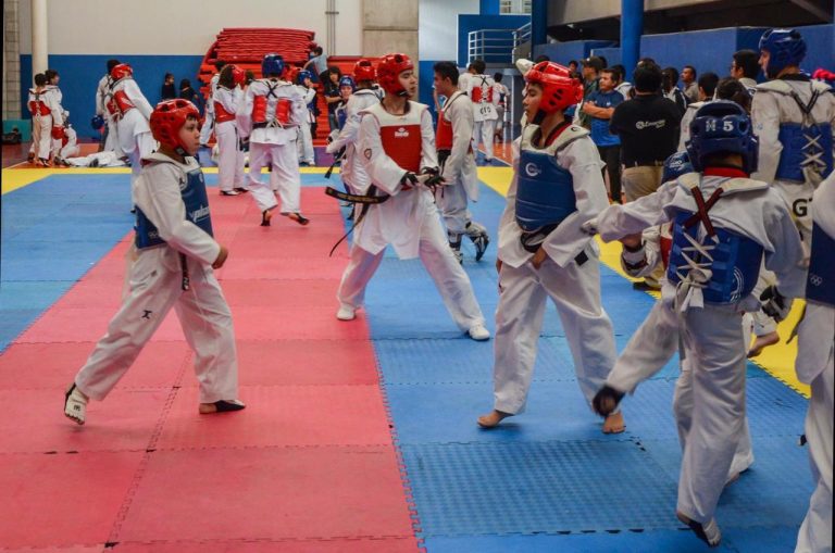 Torneo Abierto Internacional (3)