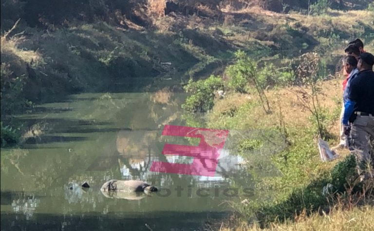 PicsArt_12-25-02.43.58