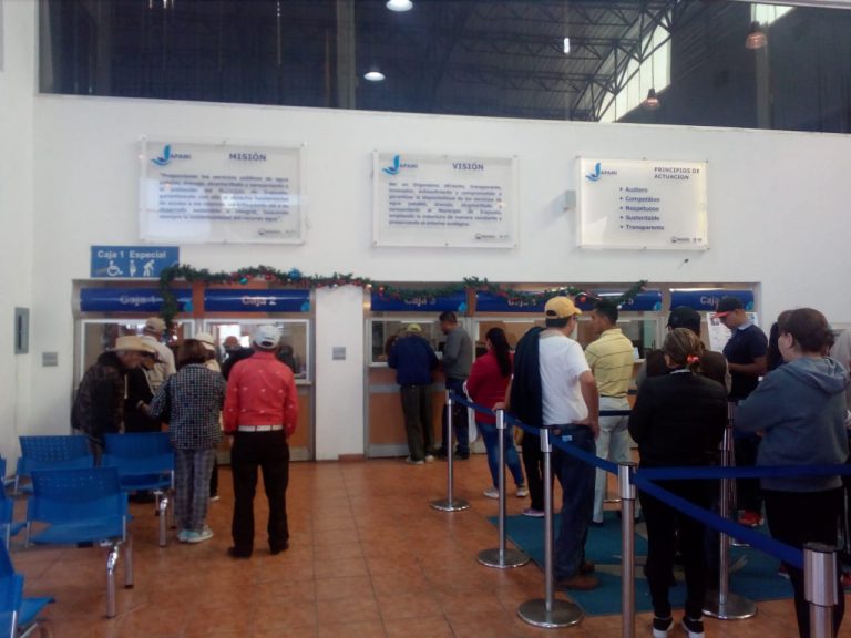 Pago Anual