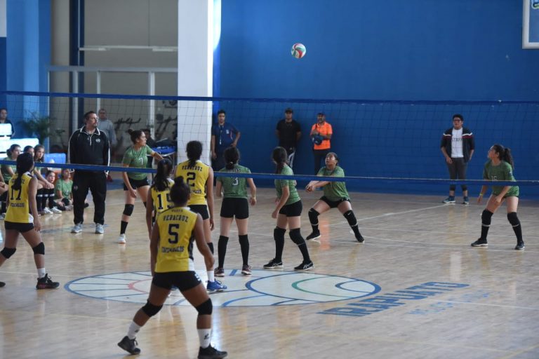 Nacional Voleibol (1)
