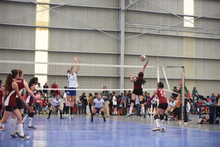 Copa Guanajuato de Voleibol (1)