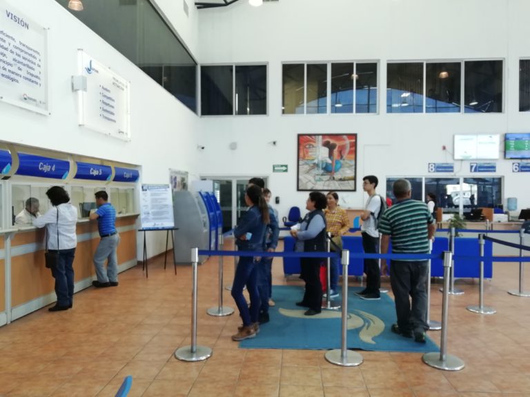 Pago Anual (4)