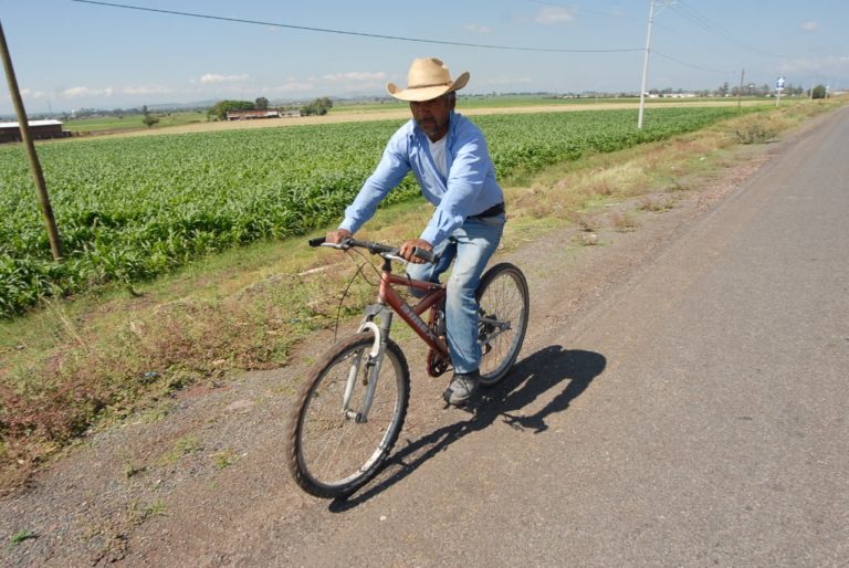 paisano en comunidades (1)