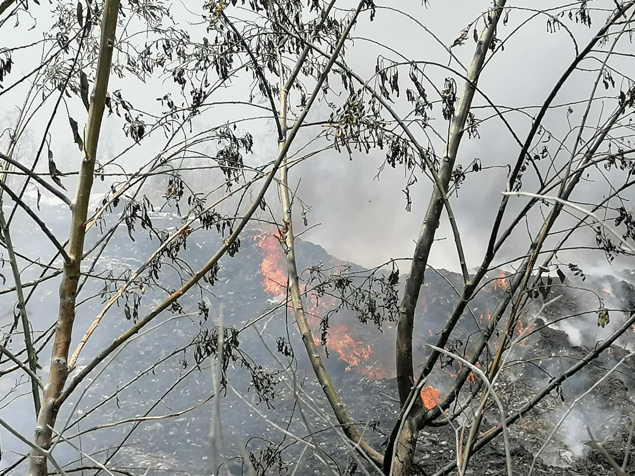 Quemas (3)