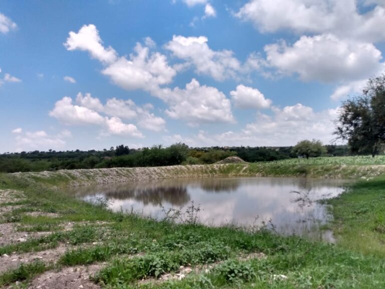Borderías (3)