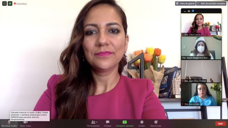 Diputada Libia García