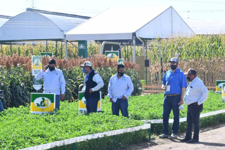 Expo Agroalimentaria (4)