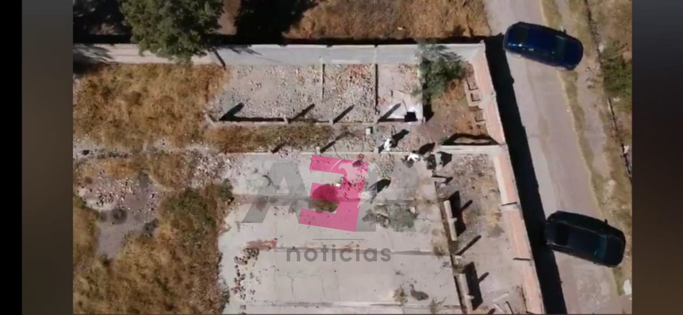 PicsArt_11-20-12.59.36