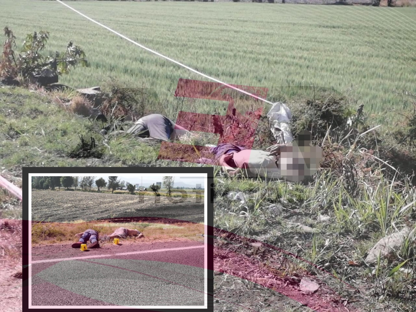 PicsArt_03-11-10.55.09