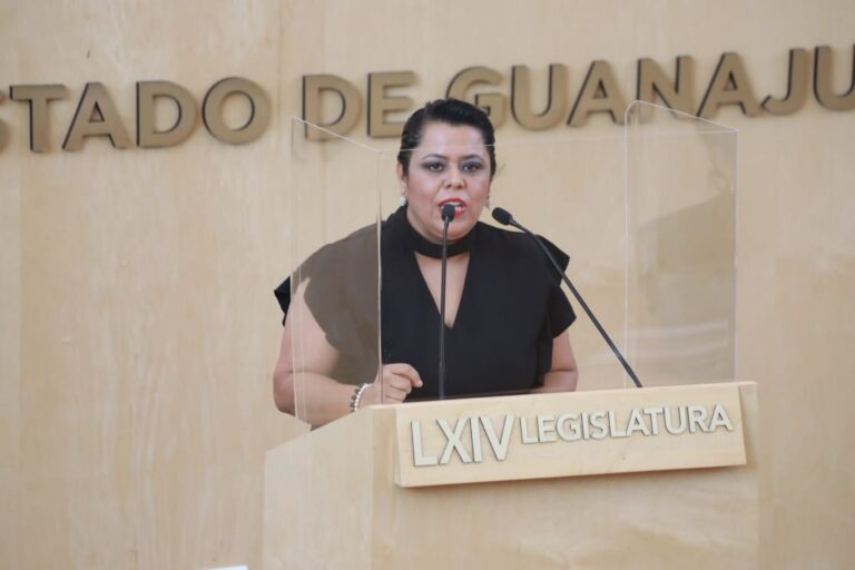 Diputada Mercedes Martínez Valdés