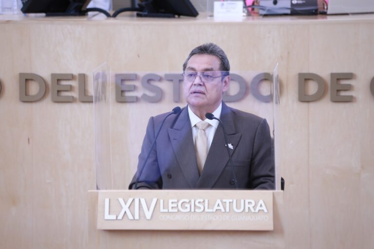 Diputado Pastor García López