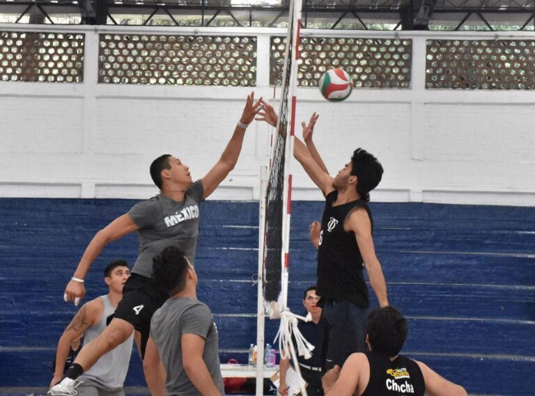 Festival de Voleibol Infantil y Juvenil (4)