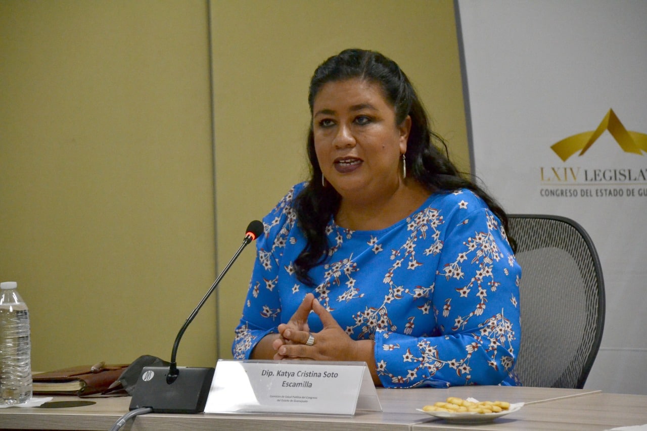 Diputada Katya Soto Escamilla