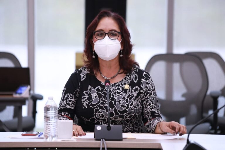 Diputada Martha Delgado Zárate