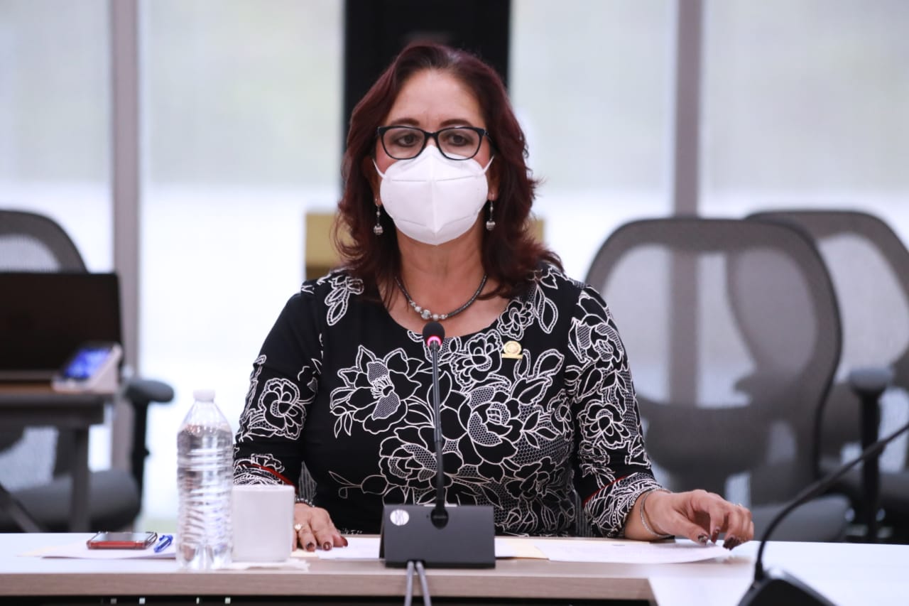 Diputada Martha Delgado Zárate