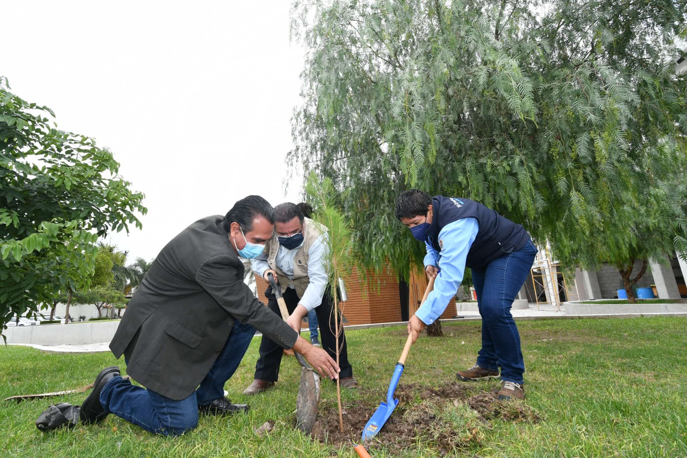 RAÍCES POR LA VIDA (2)