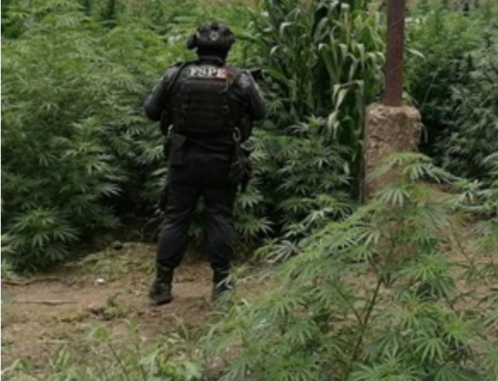 Screenshot_20210826-205559_Facebook