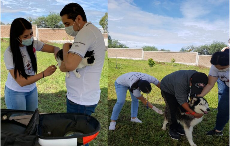 PicsArt_09-13-06.21.08