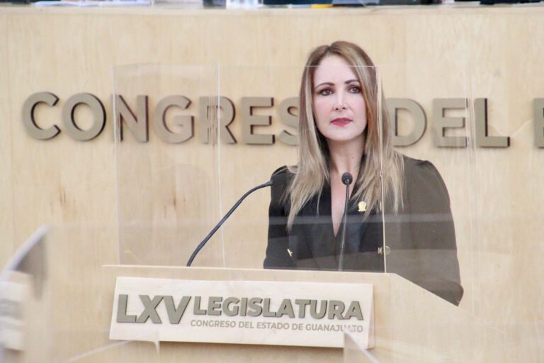 Diputada Margarita Rionda Salas