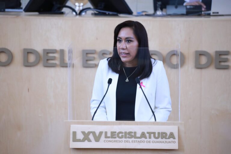 Diputada Susana Bermúdez Cano