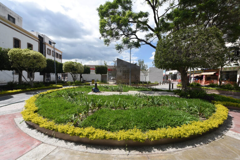 Irapuato (2)