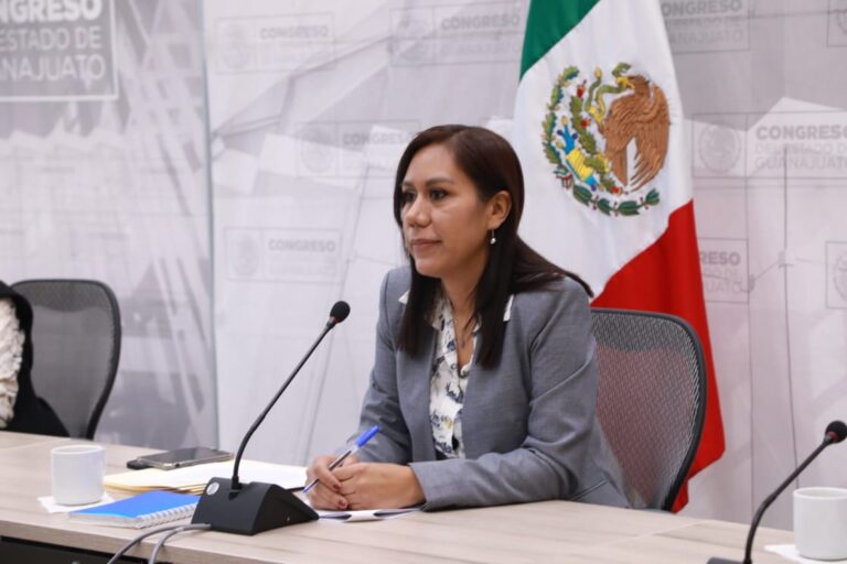Diputada Susana Bermúdez Cano