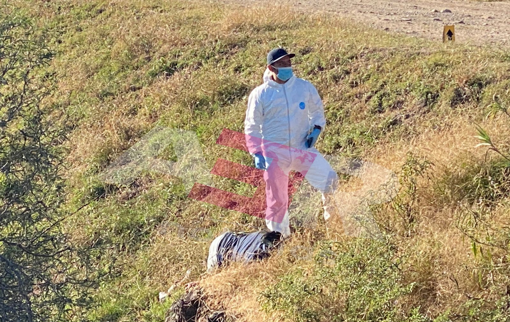 PicsArt_11-07-01.25.20