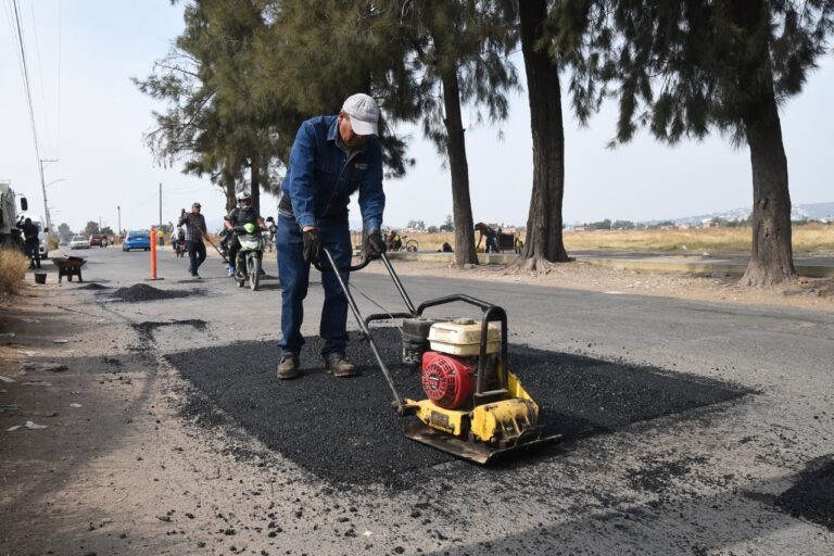 BACHEO (1)