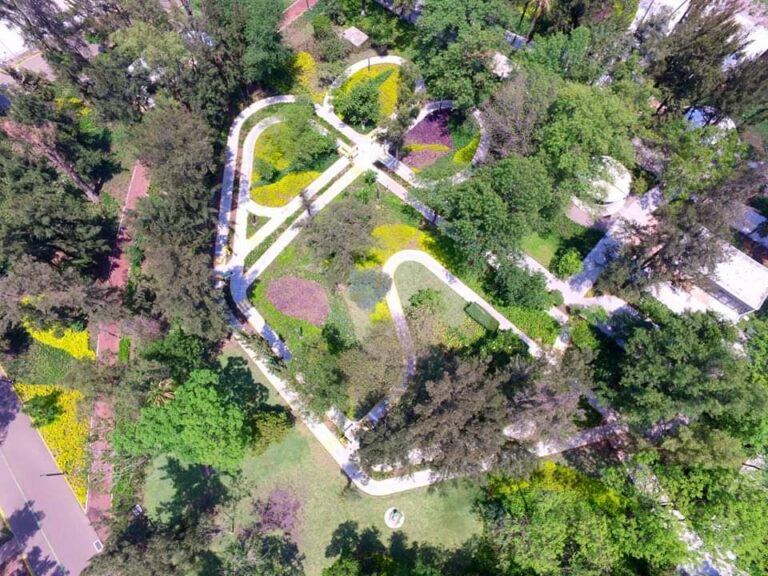 FB_IMG_1639704962879