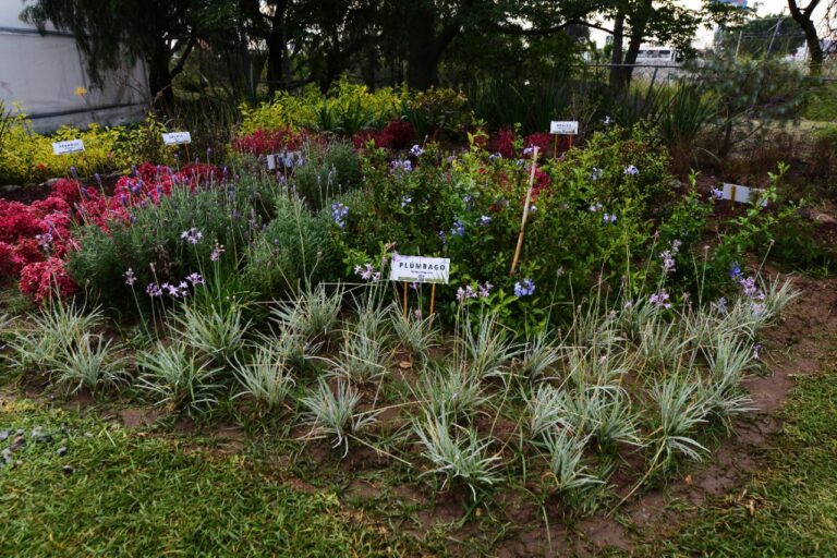 HUERTOS Y JARDINES POLINIZADORES (4)