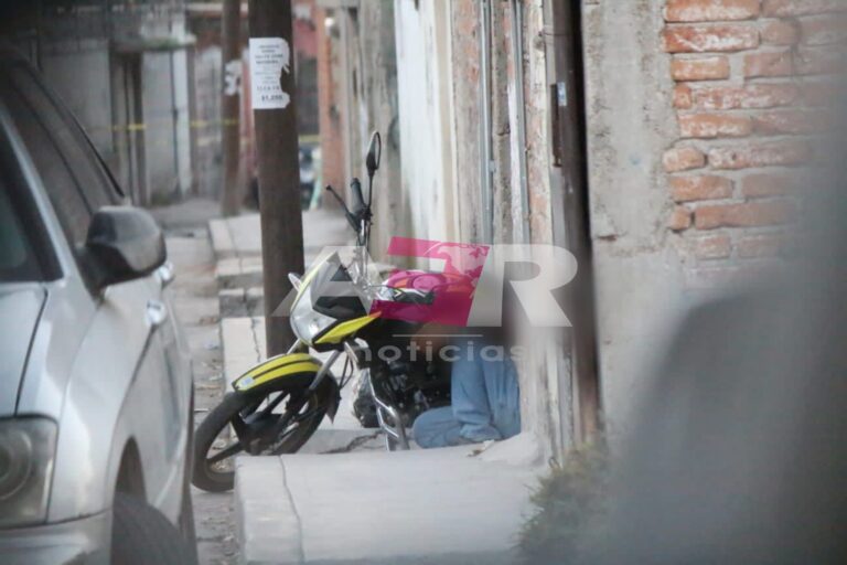 Picsart_21-12-27_12-27-25-649