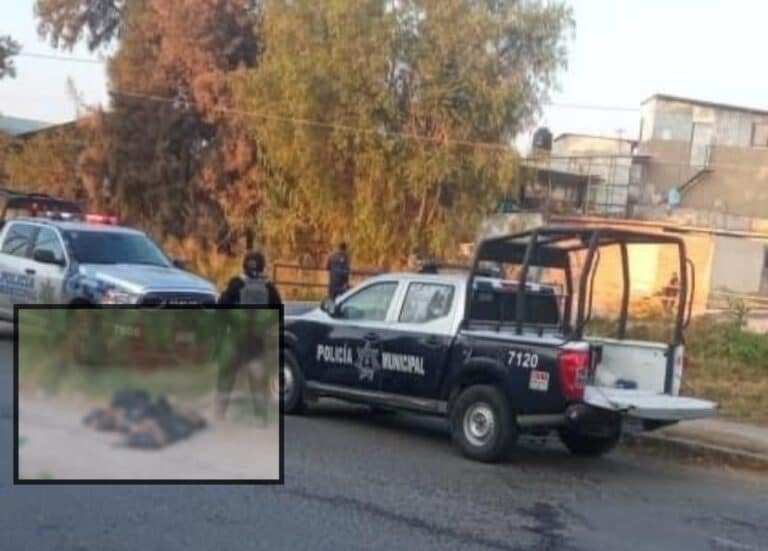 Picsart_21-12-28_13-06-29-076