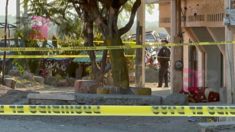 Picsart_21-12-28_18-31-07-060