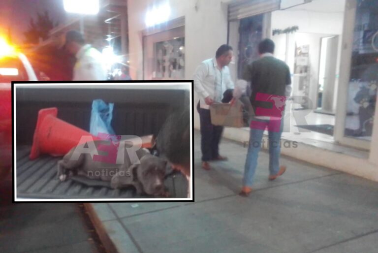 Picsart_22-01-06_19-42-21-617