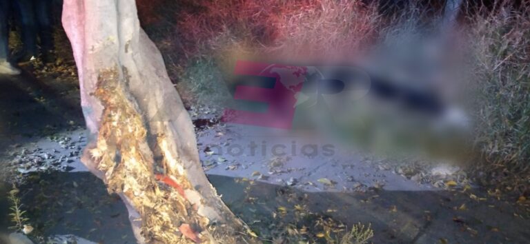 Picsart_22-01-09_12-47-58-100