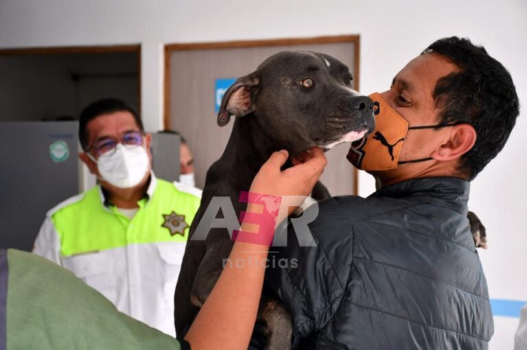 Picsart_22-01-11_19-19-36-831