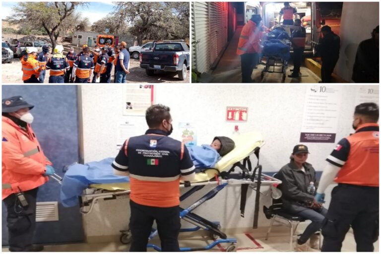 Picsart_22-01-21_10-26-32-792