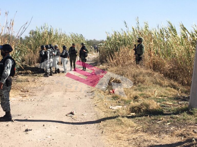 Picsart_22-01-31_17-46-57-541