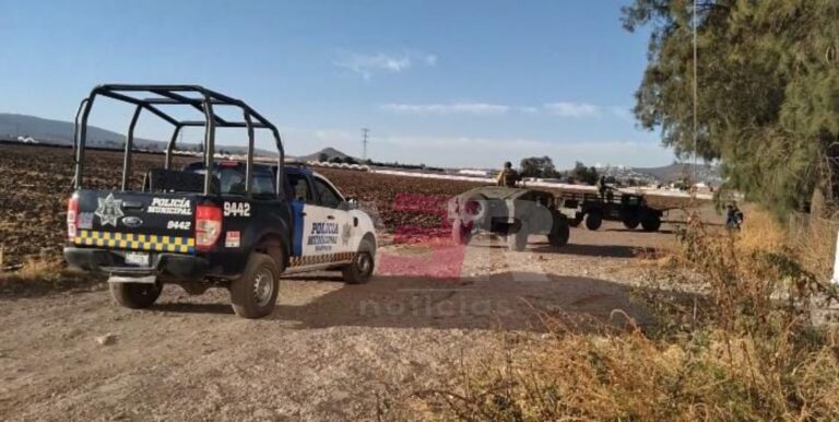 Picsart_22-01-31_18-27-30-056