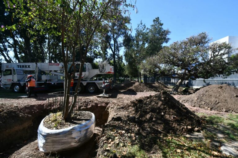 arbolado Parque Irekua (5)